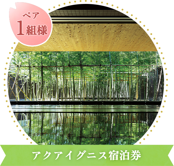 アクアイグニス宿泊券　ペア1組様